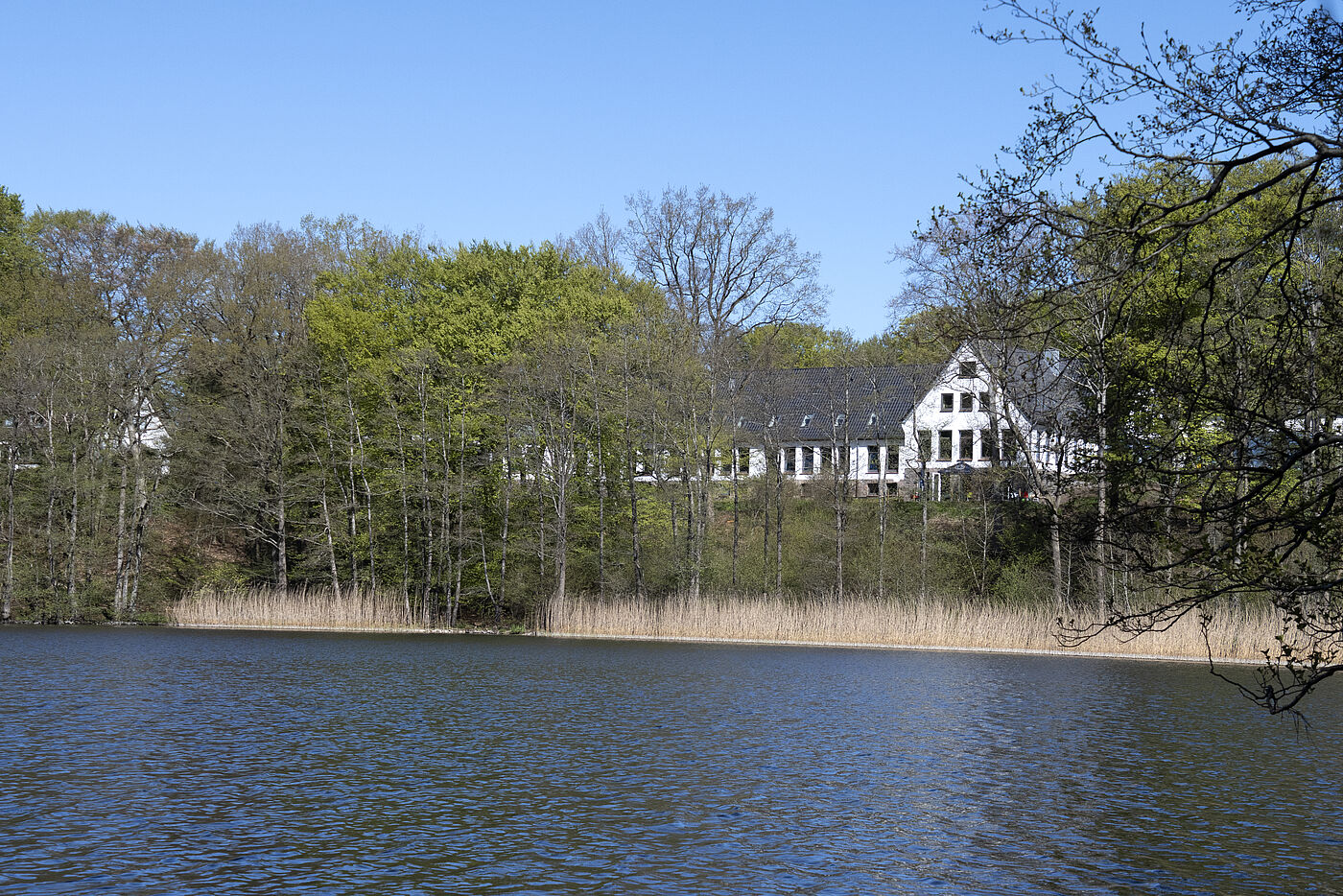 Blick vom See auf das Akademiezentrum Sankelmark